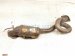 2017 Jeep Wrangler Driver Front Oxygen Sensor 3.6l 5149171AB Replacement 2017 Jeep Wrangler Driver Front Oxygen Sensor 3.6l 5149171AB Replacement thumbnail