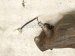 2017 Jeep Wrangler Driver Front Oxygen Sensor 3.6l 5149171AB Replacement 2017 Jeep Wrangler Driver Front Oxygen Sensor 3.6l 5149171AB Replacement thumbnail