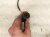 2017 Jeep Wrangler Driver Front Oxygen Sensor 3.6l 5149171AB Replacement 2017 Jeep Wrangler Driver Front Oxygen Sensor 3.6l 5149171AB Replacement thumbnail
