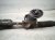 2023 Audi A3 Audi And / Gear Box Power Steering Rack & Pinion 5WB 423 051 AT Replacement 2023 Audi A3 Audi And / Gear Box Power Steering Rack & Pinion 5WB 423 051 AT Replacement thumbnail