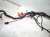 2021 Tesla Model Y Front Chassis Wire Harness 1489058 10 E Replacement 2021 Tesla Model Y Front Chassis Wire Harness 1489058 10 E Replacement thumbnail