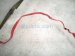 2019 Audi S5 Audi Positive Battery Cable 3.0l 8W1971225AB Replacement 2019 Audi S5 Audi Positive Battery Cable 3.0l 8W1971225AB Replacement thumbnail