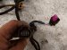 2022 Volkswagen Taos Main Engine Wire Harness 1.5t Fwd 05E972610N Replacement 2022 Volkswagen Taos Main Engine Wire Harness 1.5t Fwd 05E972610N Replacement thumbnail