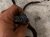 2022 Volkswagen Taos Main Engine Wire Harness 1.5t Fwd 05E972610N Replacement 2022 Volkswagen Taos Main Engine Wire Harness 1.5t Fwd 05E972610N Replacement thumbnail