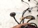 2022 Volkswagen Taos Main Engine Wire Harness 1.5t Fwd 05E972610N Replacement 2022 Volkswagen Taos Main Engine Wire Harness 1.5t Fwd 05E972610N Replacement thumbnail