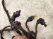 2022 Volkswagen Taos Main Engine Wire Harness 1.5t Fwd 05E972610N Replacement 2022 Volkswagen Taos Main Engine Wire Harness 1.5t Fwd 05E972610N Replacement thumbnail