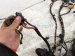2022 Volkswagen Taos Engine Room Harness W/fuse 1.5l Fwd 5Q0971445C Replacement 2022 Volkswagen Taos Engine Room Harness W/fuse 1.5l Fwd 5Q0971445C Replacement thumbnail
