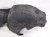2021 Ford Explorer Front Driver Inner Fender Liner LB5Z 16103 D Replacement 2021 Ford Explorer Front Driver Inner Fender Liner LB5Z 16103 D Replacement thumbnail