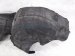 2021 Ford Explorer Front Driver Inner Fender Liner LB5Z 16103 D Replacement 2021 Ford Explorer Front Driver Inner Fender Liner LB5Z 16103 D Replacement thumbnail
