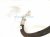 2017 BMW Mini Cooper Ac Pipe Line A/c Suction Hose 2.0l 64 53 9 209 723 Replacement 2017 BMW Mini Cooper Ac Pipe Line A/c Suction Hose 2.0l 64 53 9 209 723 Replacement thumbnail