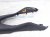 2024 Ford Mustang Center Console Cup Holder Trim blk PR3B Replacement 2024 Ford Mustang Center Console Cup Holder Trim blk PR3B Replacement thumbnail