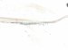 2025 Subaru Forester Ac Hose Pipe Line A/c Evaporator Tube 2.5l Passenger 73431SL000 Replacement 2025 Subaru Forester Ac Hose Pipe Line A/c Evaporator Tube 2.5l Passenger 73431SL000 Replacement thumbnail