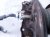 2023 Kia Telluride Front Upper Oxygen Sensor 3.8l 392103LNC0 Replacement 2023 Kia Telluride Front Upper Oxygen Sensor 3.8l 392103LNC0 Replacement thumbnail