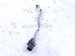 2023 Kia Telluride Front Upper Oxygen Sensor 3.8l 392103LNC0 Replacement 2023 Kia Telluride Front Upper Oxygen Sensor 3.8l 392103LNC0 Replacement thumbnail