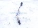 2023 Kia Telluride Front Upper Oxygen Sensor 3.8l 392103LNC0 Replacement 2023 Kia Telluride Front Upper Oxygen Sensor 3.8l 392103LNC0 Replacement thumbnail