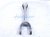 2018 Honda Clarity Rear Driver Upper Control Arm 52360 TRT A00 Replacement 2018 Honda Clarity Rear Driver Upper Control Arm 52360 TRT A00 Replacement thumbnail