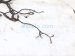 2023 Nissan Pathfinder Main Engine Wire Harness 3.5l Fwd 24011 6TA0B Replacement 2023 Nissan Pathfinder Main Engine Wire Harness 3.5l Fwd 24011 6TA0B Replacement thumbnail
