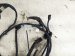 2023 Nissan Pathfinder Body Wire Harness 3.5l Fwd 24095 6TA0A Replacement 2023 Nissan Pathfinder Body Wire Harness 3.5l Fwd 24095 6TA0A Replacement thumbnail