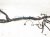 2017 Jeep Wrangler Dashboard Wire Harness Rubicon 68262834AC Replacement 2017 Jeep Wrangler Dashboard Wire Harness Rubicon 68262834AC Replacement thumbnail