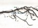 2017 Jeep Wrangler Dashboard Wire Harness Rubicon 68262834AC Replacement 2017 Jeep Wrangler Dashboard Wire Harness Rubicon 68262834AC Replacement thumbnail