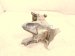 2024 Audi Q5 Audi Engine/motor Passenger Engine Mount Bracket 2.0l Awd 4M0.199.308.CE Replacement 2024 Audi Q5 Audi Engine/motor Passenger Engine Mount Bracket 2.0l Awd 4M0.199.308.CE Replacement thumbnail