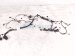 2024 Audi Q5 Audi Main Engine Wire Harness 2.0l Awd 06N 971 595 L Replacement 2024 Audi Q5 Audi Main Engine Wire Harness 2.0l Awd 06N 971 595 L Replacement thumbnail