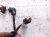 2024 Audi Q5 Audi Main Engine Wire Harness 2.0l Awd 06N 971 595 L Replacement 2024 Audi Q5 Audi Main Engine Wire Harness 2.0l Awd 06N 971 595 L Replacement thumbnail