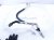 2018 Ford F150 Ac Pipe Line A/c Discharge Hose 2.7l 4x2 JL3H 19972 GE Replacement 2018 Ford F150 Ac Pipe Line A/c Discharge Hose 2.7l 4x2 JL3H 19972 GE Replacement thumbnail