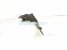 2017 BMW Mini Cooper Front Driver Radiator Latch Support 51 64 7 307 873 Replacement 2017 BMW Mini Cooper Front Driver Radiator Latch Support 51 64 7 307 873 Replacement thumbnail