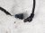 2023 BMW Mini Cooper Main Engine Harness 2.0l At #2 12518742678 Replacement 2023 BMW Mini Cooper Main Engine Harness 2.0l At #2 12518742678 Replacement thumbnail
