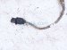 2022 Kia Telluride Passenger Upper Oxygen Sensor 39210 3L100 Replacement 2022 Kia Telluride Passenger Upper Oxygen Sensor 39210 3L100 Replacement thumbnail