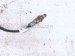 2022 Kia Telluride Right Rear Lower Oxygen Sensor 39210 3LNA0 Replacement 2022 Kia Telluride Right Rear Lower Oxygen Sensor 39210 3LNA0 Replacement thumbnail