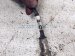 2022 Kia Telluride Right Rear Lower Oxygen Sensor 39210 3LNA0 Replacement 2022 Kia Telluride Right Rear Lower Oxygen Sensor 39210 3LNA0 Replacement thumbnail