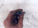 2022 Kia Telluride Left Lower Oxygen Sensor 39210 3LNB0 Replacement 2022 Kia Telluride Left Lower Oxygen Sensor 39210 3LNB0 Replacement thumbnail