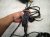 2023 Audi A3 Audi Engine Room Harness W/fuse 2.0l Fwd 06Q 972 610 A Replacement 2023 Audi A3 Audi Engine Room Harness W/fuse 2.0l Fwd 06Q 972 610 A Replacement thumbnail