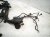 2023 Audi A3 Audi Engine Room Harness W/fuse 2.0l Fwd 06Q 972 610 A Replacement 2023 Audi A3 Audi Engine Room Harness W/fuse 2.0l Fwd 06Q 972 610 A Replacement thumbnail