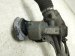 2023 Volkswagen Golf Gti And / Gear Box Power Steering Rack & Pinion 5WB 423 056 D Replacement 2023 Volkswagen Golf Gti And / Gear Box Power Steering Rack & Pinion 5WB 423 056 D Replacement thumbnail
