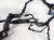 2024 Ford Mustang Dash Instrument Wire Harness Rwd LJ9T 14401 CE Replacement 2024 Ford Mustang Dash Instrument Wire Harness Rwd LJ9T 14401 CE Replacement thumbnail