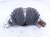 2022 Chevy Tahoe Steering Column Intermediate Shaft Boot 6.2l 4x4 19210226 Replacement 2022 Chevy Tahoe Steering Column Intermediate Shaft Boot 6.2l 4x4 19210226 Replacement thumbnail