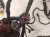 2022 Chevy Tahoe Dash Instrument Wire Harness 4x4 85541782 Replacement 2022 Chevy Tahoe Dash Instrument Wire Harness 4x4 85541782 Replacement thumbnail