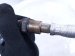 2022 BMW X3 Driver Front Upper Oxygen Sensor 11 78 8 659 971 Replacement 2022 BMW X3 Driver Front Upper Oxygen Sensor 11 78 8 659 971 Replacement thumbnail