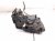 2022 BMW X3 Front Passenger Door Lock Actuator & Latch 182838 10 Replacement 2022 BMW X3 Front Passenger Door Lock Actuator & Latch 182838 10 Replacement thumbnail