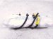 2023 Nissan Rogue Front Left Seat Airbag Replacement 2023 Nissan Rogue Front Left Seat Airbag Replacement thumbnail