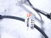 2025 Subaru Crosstrek Rear Driver Abs Wheel Speed Sensor 2.0l 27540FN14A Replacement 2025 Subaru Crosstrek Rear Driver Abs Wheel Speed Sensor 2.0l 27540FN14A Replacement thumbnail
