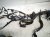 2021 Ford Ranger Engine Room Wire Harness 2.3l 4x2 HB3T 14290 XAB Replacement 2021 Ford Ranger Engine Room Wire Harness 2.3l 4x2 HB3T 14290 XAB Replacement thumbnail