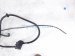 2016 Chevy Silverado 1500 Gas / Fuel Filler Neck 4.3l 4x2 23395442 Replacement 2016 Chevy Silverado 1500 Gas / Fuel Filler Neck 4.3l 4x2 23395442 Replacement thumbnail