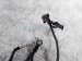 2004 Toyota Tacoma Battery Cable 2.7l 4x4 G9242 42270 Replacement 2004 Toyota Tacoma Battery Cable 2.7l 4x4 G9242 42270 Replacement thumbnail