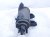 2022 BMW X3 Fuel Vapor Charcoal Canister 2.0l 16 13 7 459 686 Replacement 2022 BMW X3 Fuel Vapor Charcoal Canister 2.0l 16 13 7 459 686 Replacement thumbnail