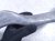 2016 BMW 328i Front Driver Forward Lower Control Arm 31 12 6 855 741 Replacement 2016 BMW 328i Front Driver Forward Lower Control Arm 31 12 6 855 741 Replacement thumbnail