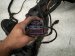 2023 Volkswagen Golf Dash Instrument Wire Harness Awd 5H0971001 Replacement 2023 Volkswagen Golf Dash Instrument Wire Harness Awd 5H0971001 Replacement thumbnail